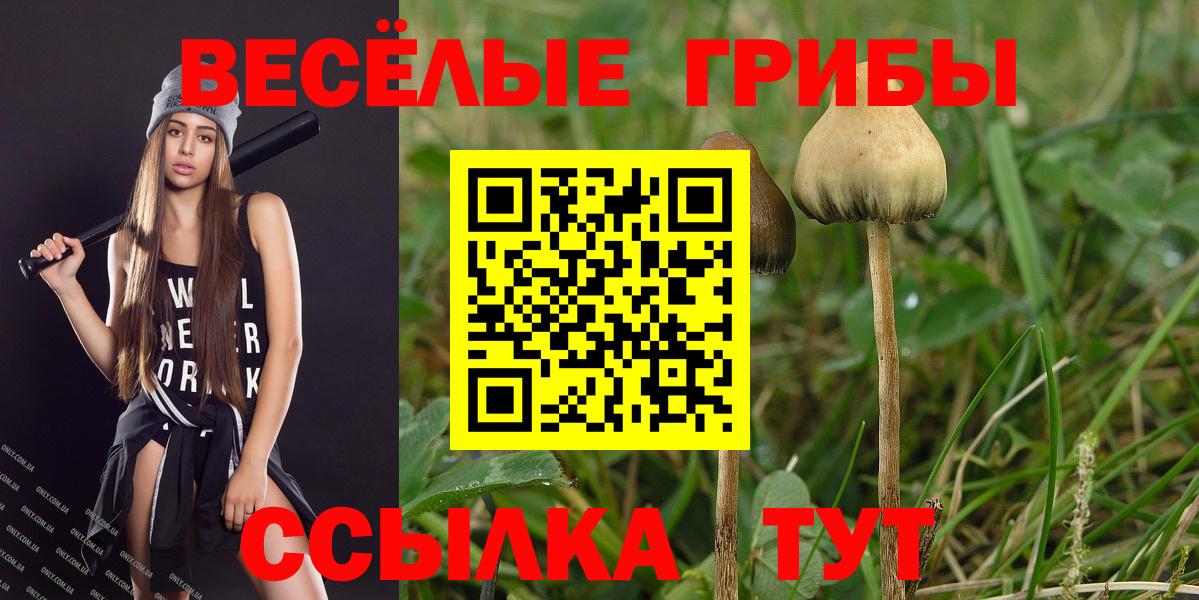 Галлюциногенные грибы ЛСД Лиски